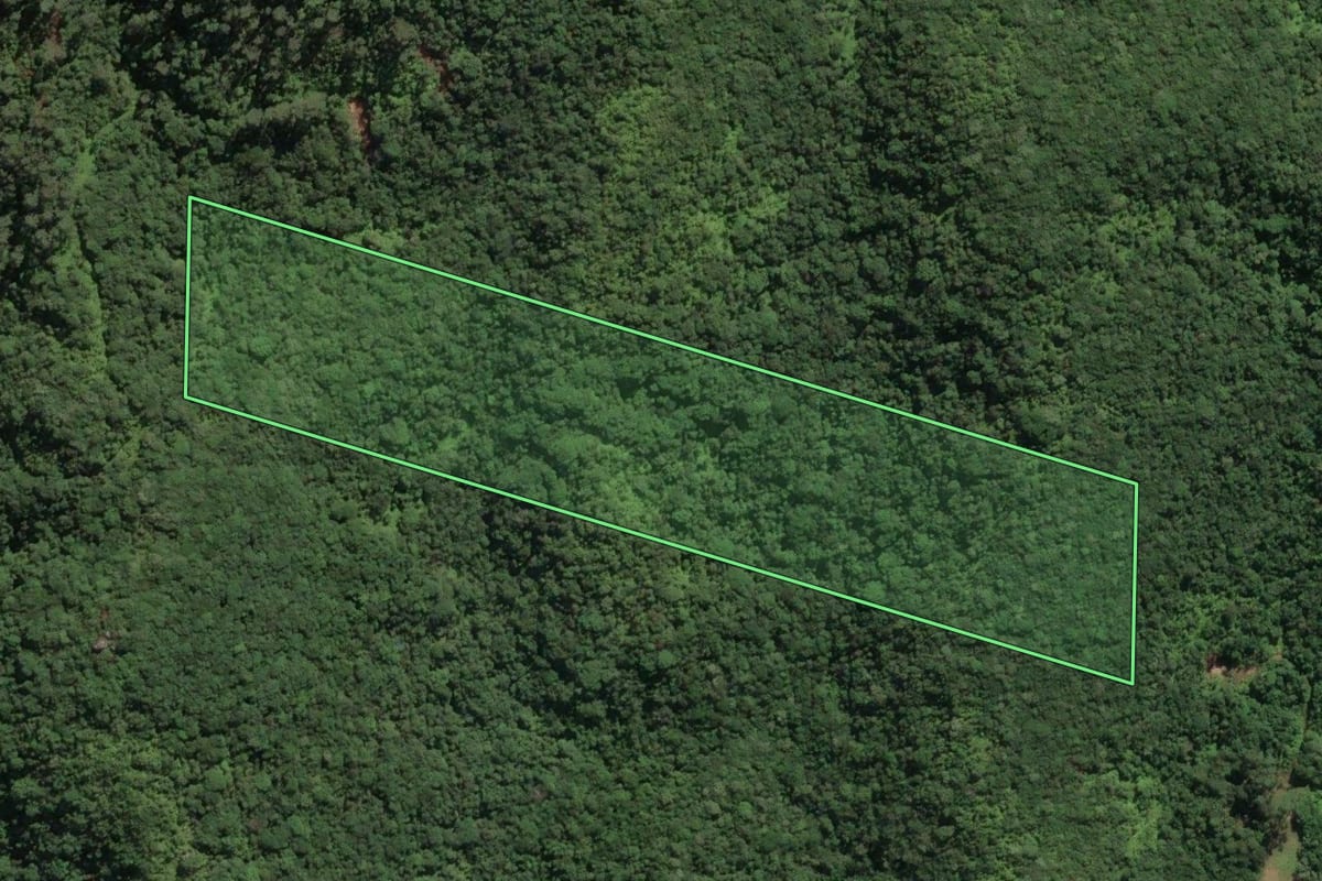 Imagem de satélite do imóvel rural em Biguaçu (SC), com o contorno declarado no CAR desenhado por cima.