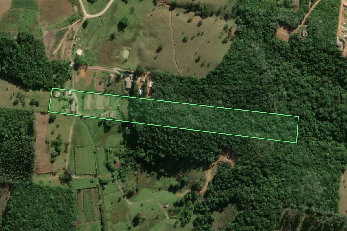 Imagem de satélite do imóvel rural em Biguaçu (SC), com o contorno declarado no CAR desenhado por cima.
