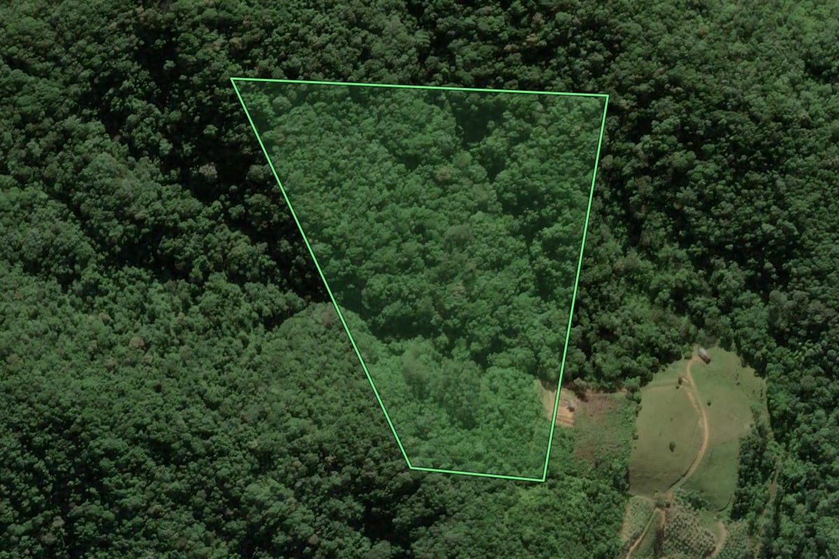 Imagem de satélite do imóvel rural em Biguaçu (SC), com o contorno declarado no CAR desenhado por cima.