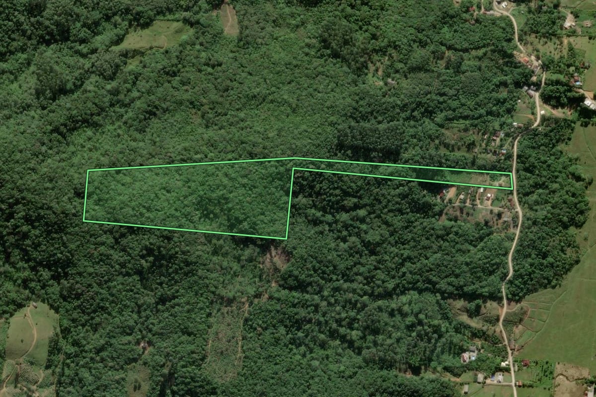 Imagem de satélite do imóvel rural em Biguaçu (SC), com o contorno declarado no CAR desenhado por cima.