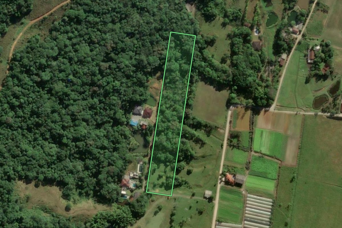 Imagem de satélite do imóvel rural em Biguaçu (SC), com o contorno declarado no CAR desenhado por cima.