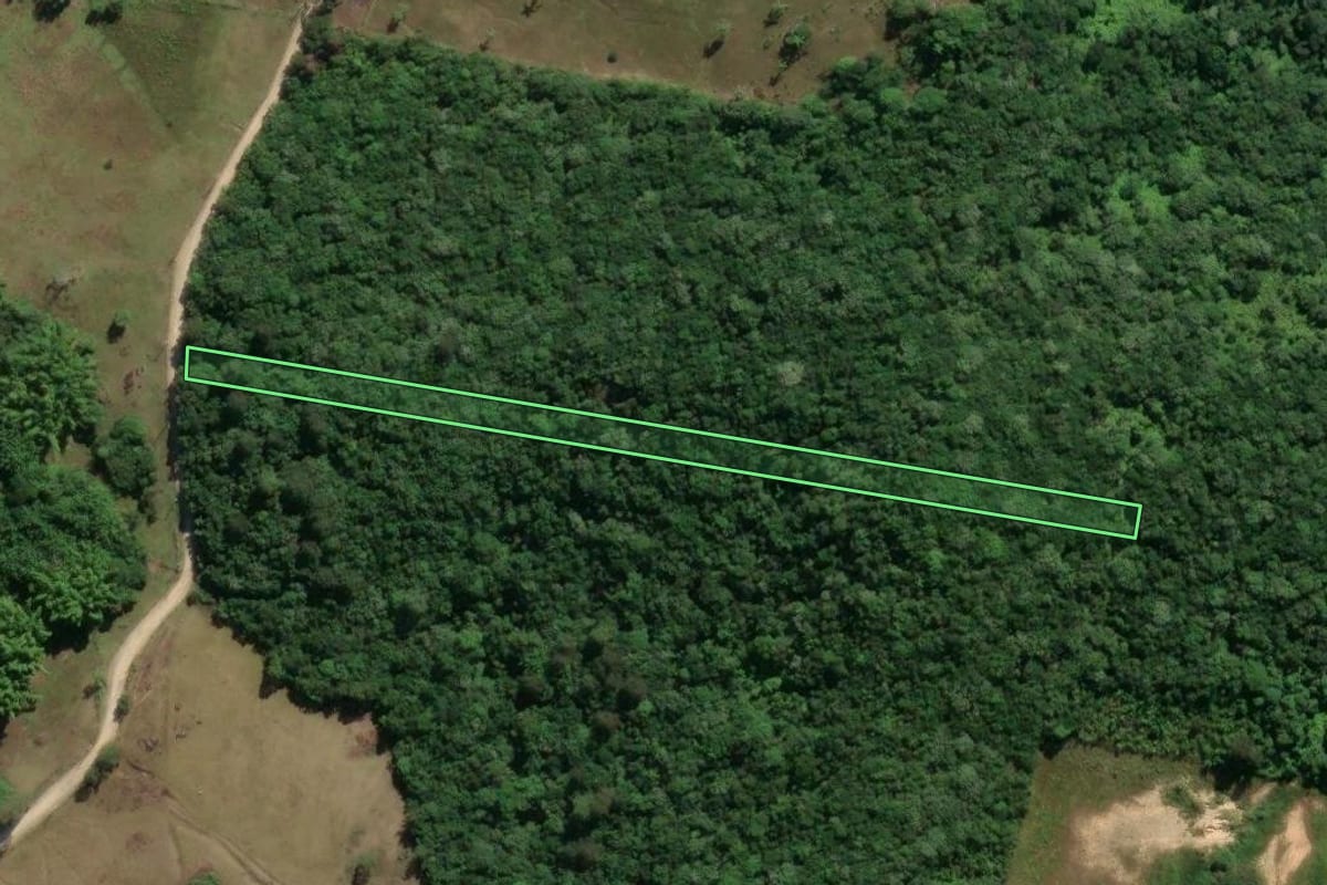 Imagem de satélite do imóvel rural em Biguaçu (SC), com o contorno declarado no CAR desenhado por cima.