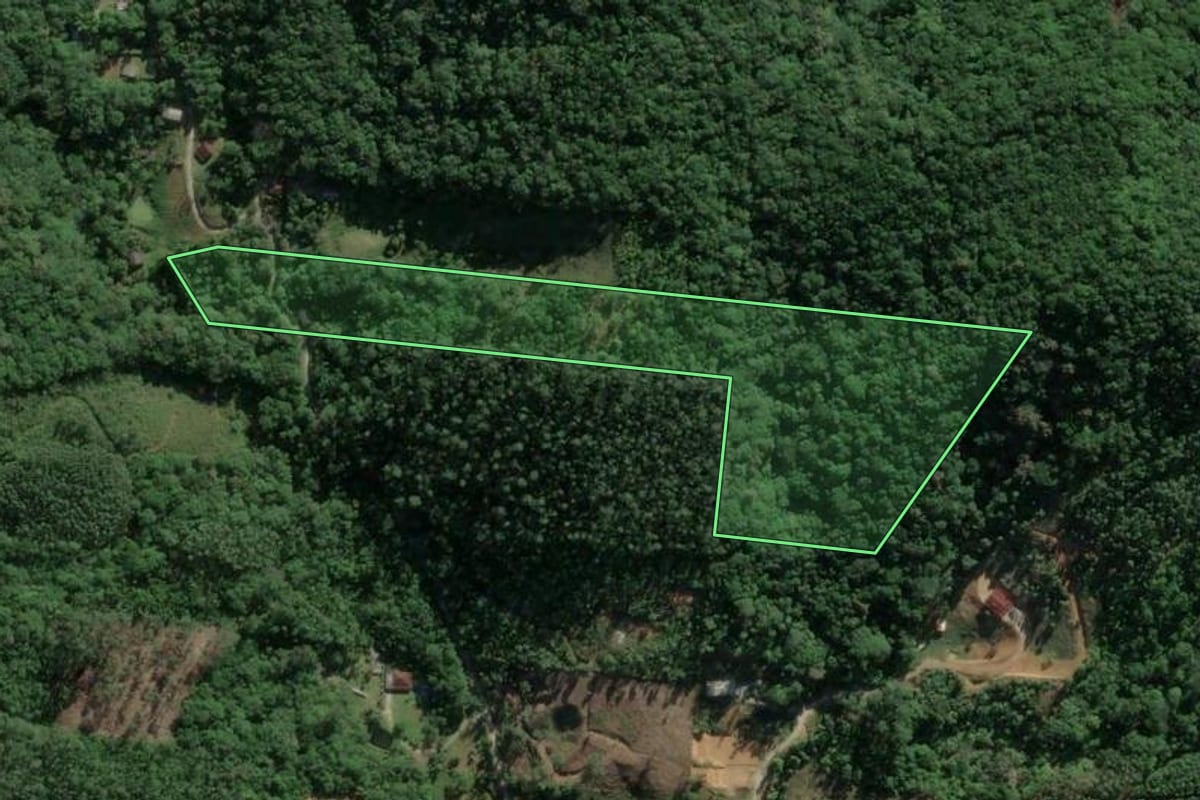 Imagem de satélite do imóvel rural em Biguaçu (SC), com o contorno declarado no CAR desenhado por cima.