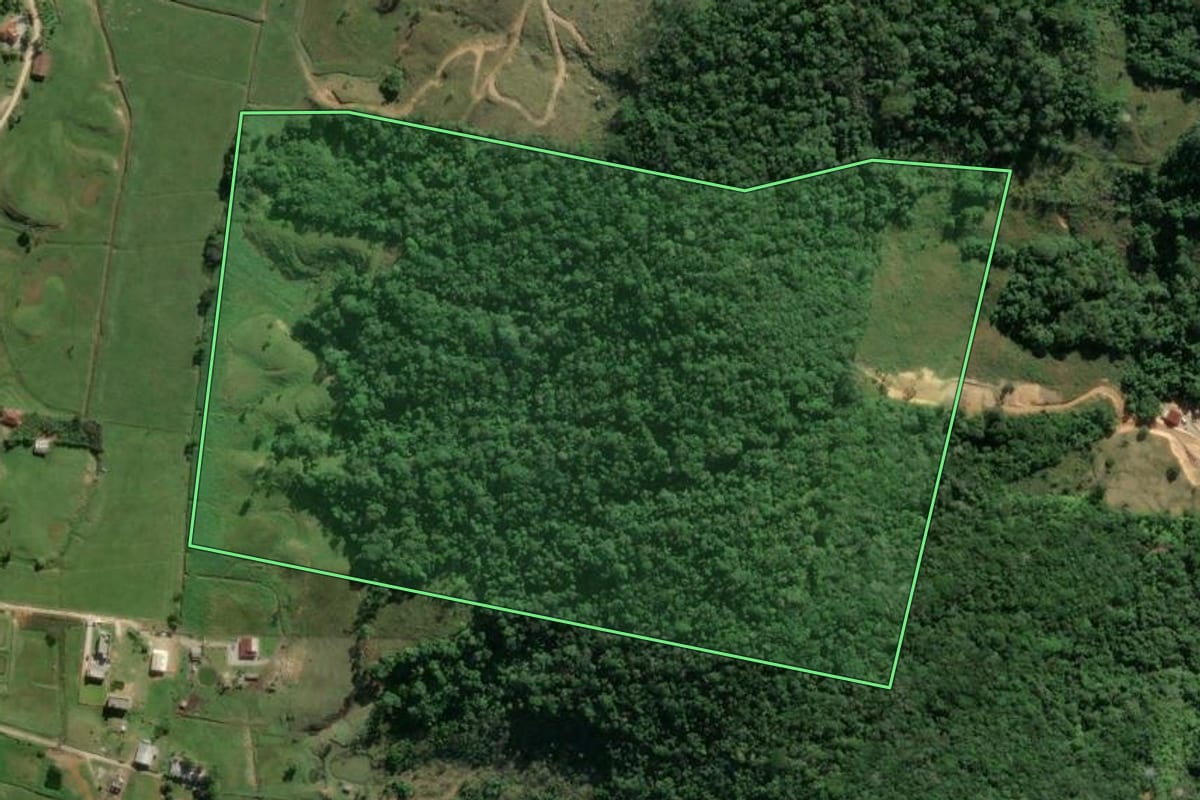 Imagem de satélite do imóvel rural em Biguaçu (SC), com o contorno declarado no CAR desenhado por cima.