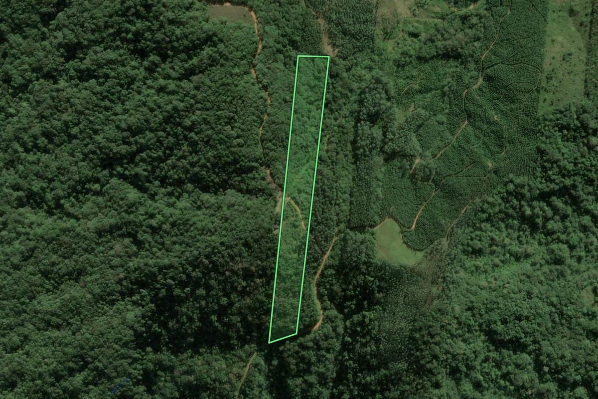 Imagem de satélite do imóvel rural em Biguaçu (SC), com o contorno declarado no CAR desenhado por cima.