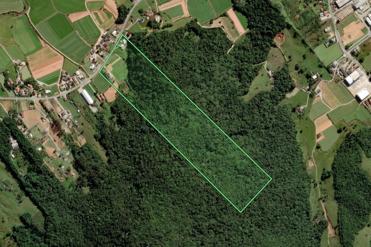 Imagem de satélite do imóvel rural em Biguaçu (SC), com o contorno declarado no CAR desenhado por cima.