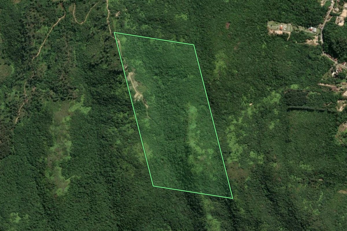 Imagem de satélite do imóvel rural em Biguaçu (SC), com o contorno declarado no CAR desenhado por cima.