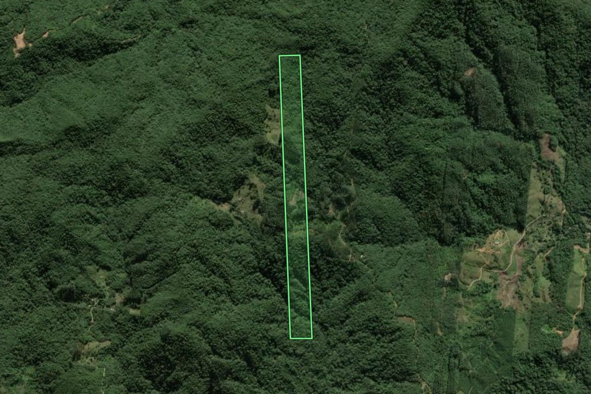 Imagem de satélite do imóvel rural em Biguaçu (SC), com o contorno declarado no CAR desenhado por cima.