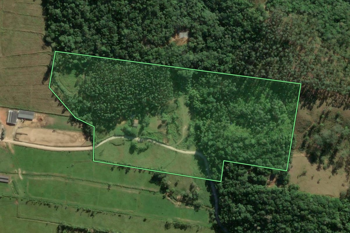 Imagem de satélite do imóvel rural em Biguaçu (SC), com o contorno declarado no CAR desenhado por cima.