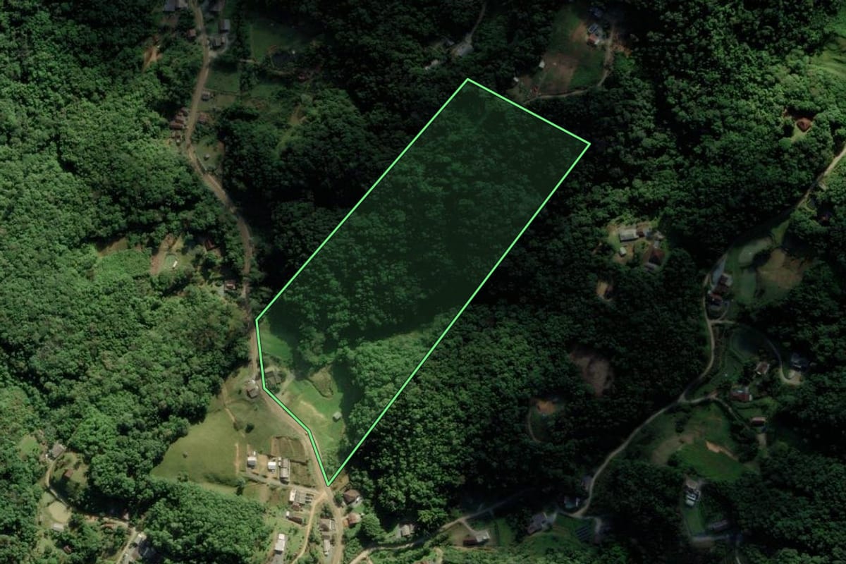 Imagem de satélite do imóvel rural em Blumenau (SC), com o contorno declarado no CAR desenhado por cima.