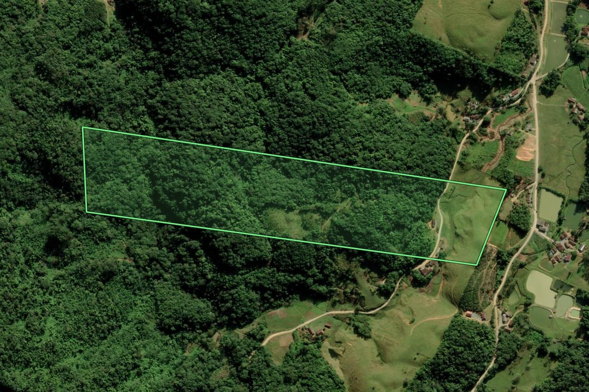 Imagem de satélite do imóvel rural em Blumenau (SC), com o contorno declarado no CAR desenhado por cima.