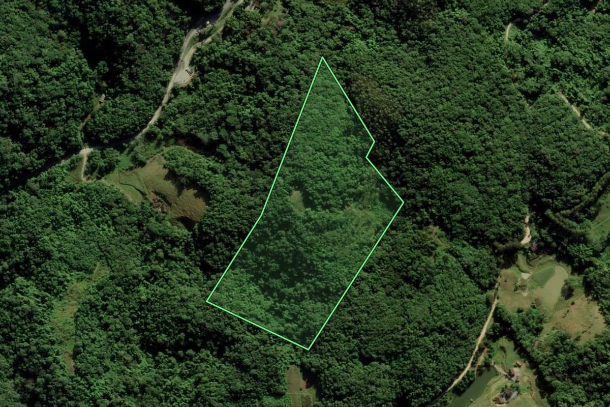 Imagem de satélite do imóvel rural em Blumenau (SC), com o contorno declarado no CAR desenhado por cima.