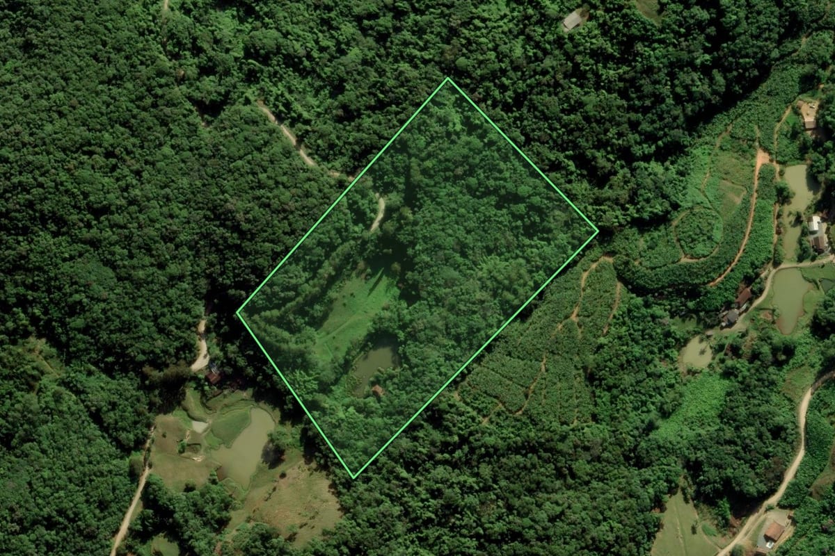 Imagem de satélite do imóvel rural em Blumenau (SC), com o contorno declarado no CAR desenhado por cima.