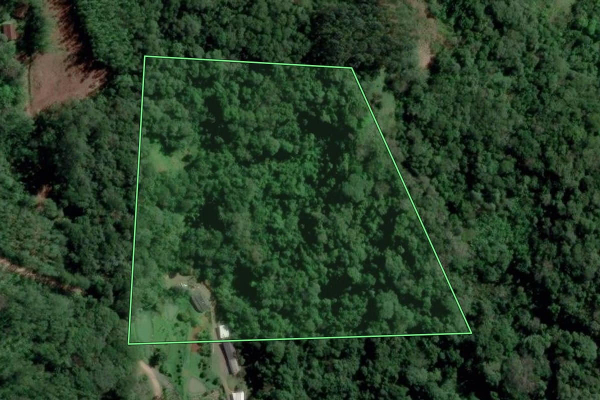 Imagem de satélite do imóvel rural em Blumenau (SC), com o contorno declarado no CAR desenhado por cima.