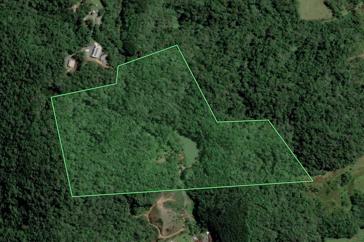 Imagem de satélite do imóvel rural em Blumenau (SC), com o contorno declarado no CAR desenhado por cima.
