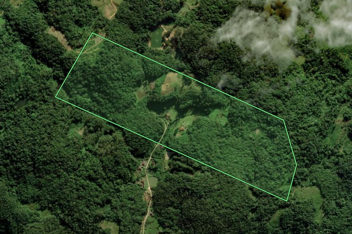 Imagem de satélite do imóvel rural em Blumenau (SC), com o contorno declarado no CAR desenhado por cima.
