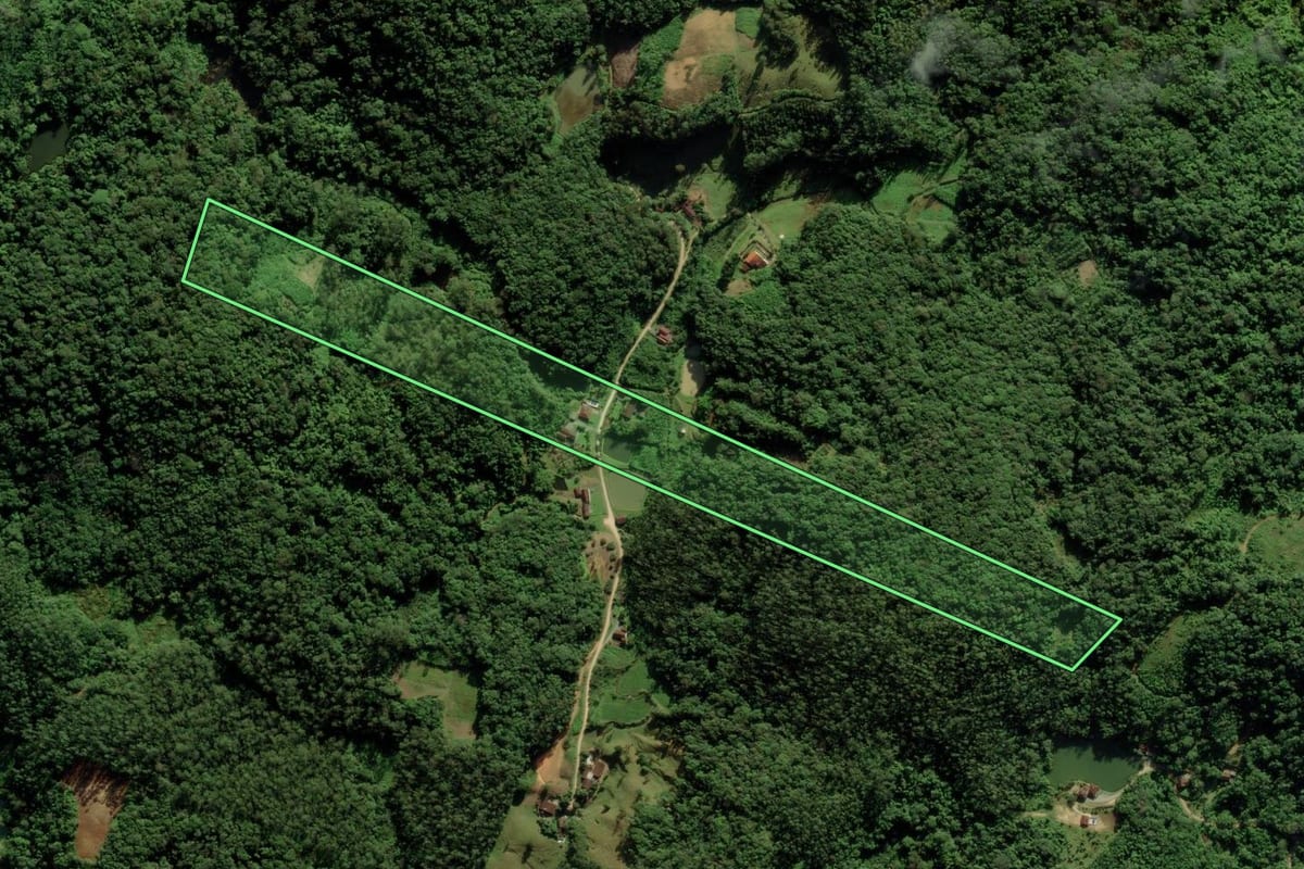 Imagem de satélite do imóvel rural em Blumenau (SC), com o contorno declarado no CAR desenhado por cima.