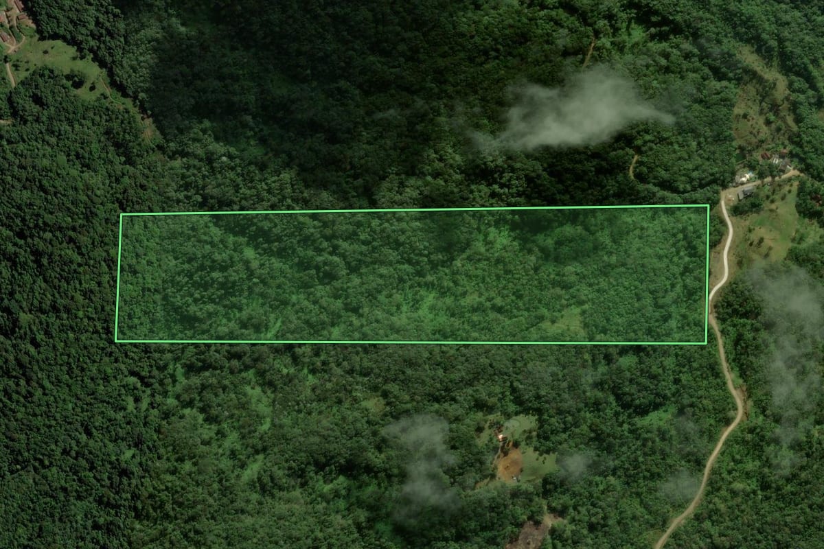 Imagem de satélite do imóvel rural em Blumenau (SC), com o contorno declarado no CAR desenhado por cima.