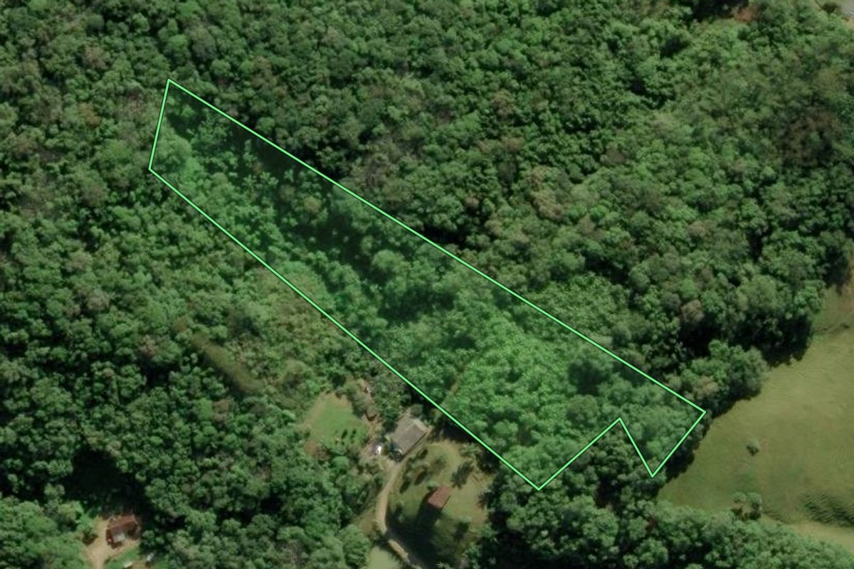 Imagem de satélite do imóvel rural em Blumenau (SC), com o contorno declarado no CAR desenhado por cima.
