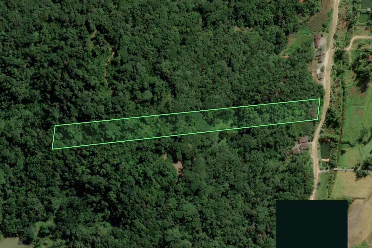 Imagem de satélite do imóvel rural em Blumenau (SC), com o contorno declarado no CAR desenhado por cima.