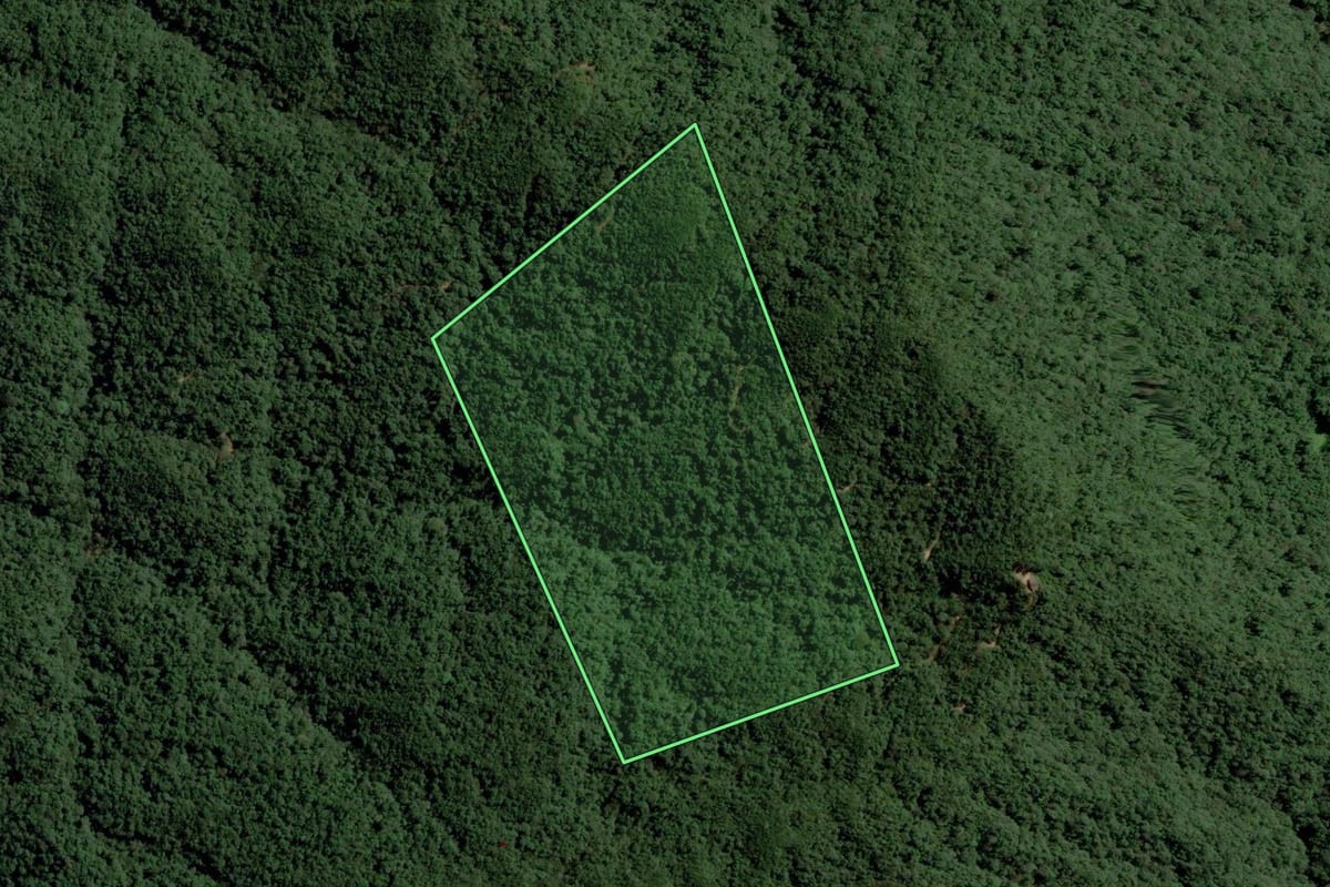Imagem de satélite do imóvel rural em Blumenau (SC), com o contorno declarado no CAR desenhado por cima.