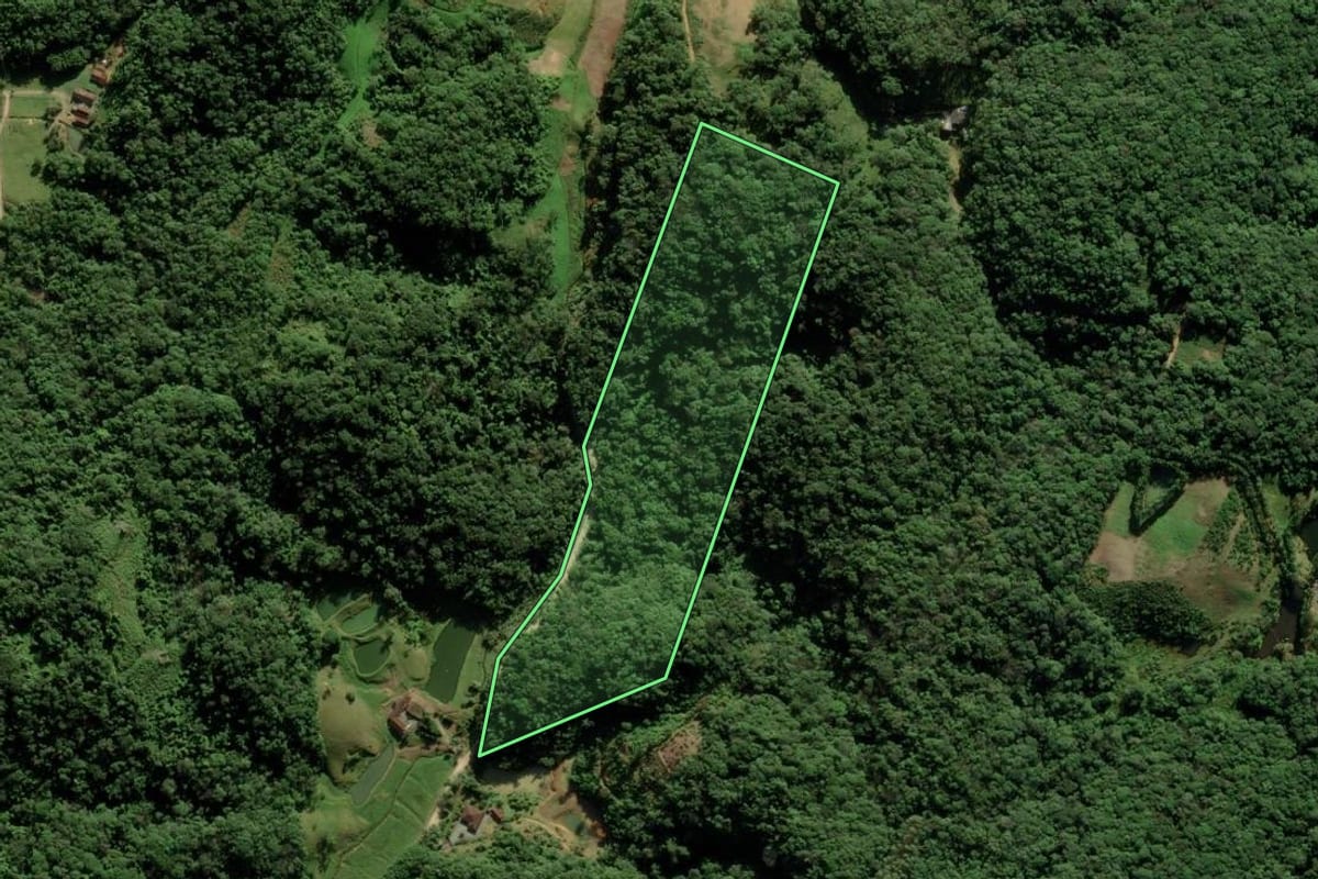 Imagem de satélite do imóvel rural em Blumenau (SC), com o contorno declarado no CAR desenhado por cima.