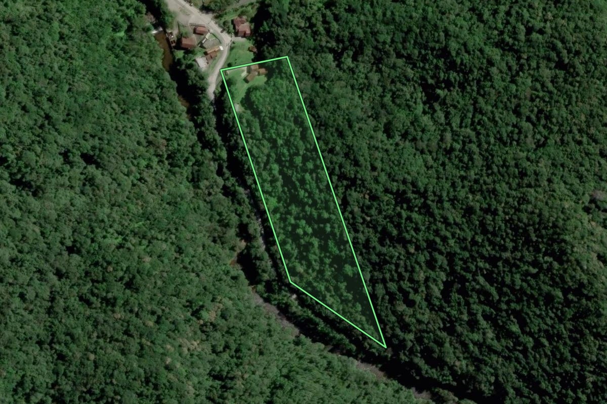 Imagem de satélite do imóvel rural em Blumenau (SC), com o contorno declarado no CAR desenhado por cima.