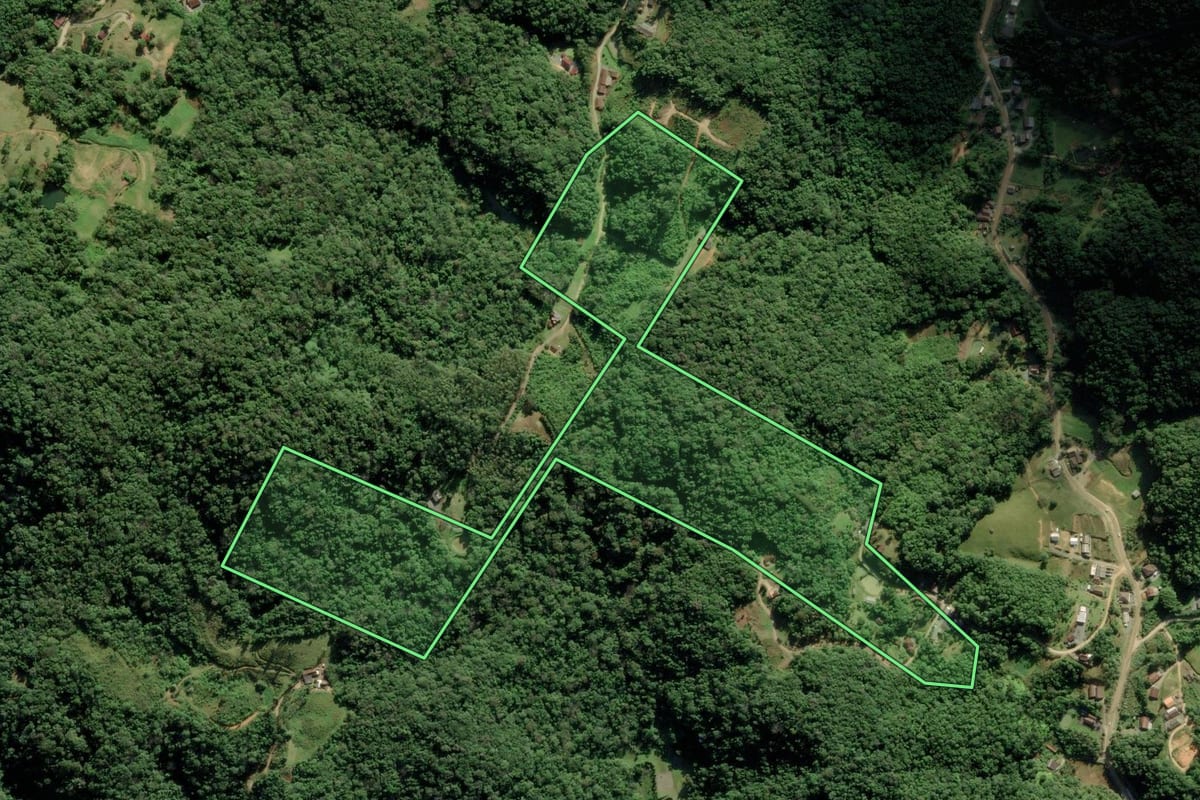 Imagem de satélite do imóvel rural em Blumenau (SC), com o contorno declarado no CAR desenhado por cima.