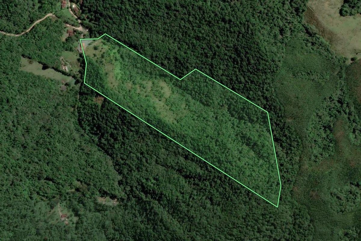 Imagem de satélite do imóvel rural em Blumenau (SC), com o contorno declarado no CAR desenhado por cima.