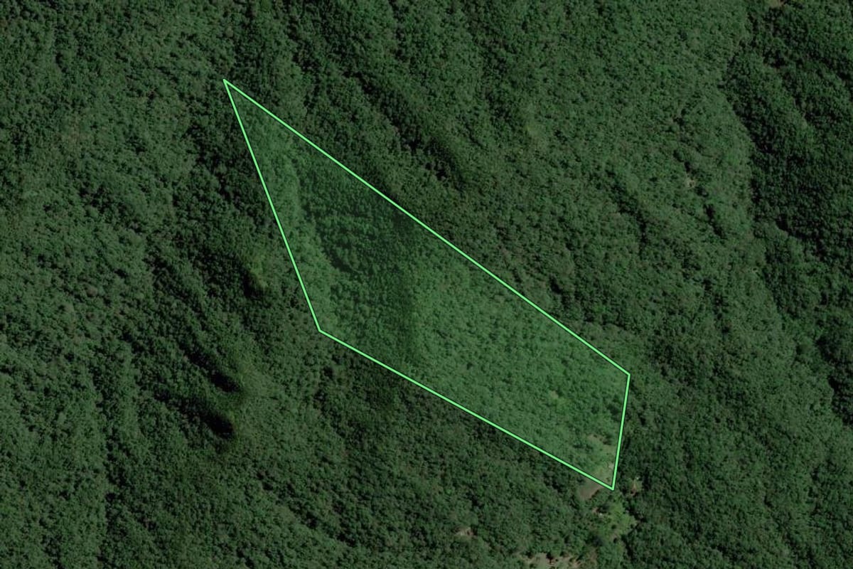 Imagem de satélite do imóvel rural em Blumenau (SC), com o contorno declarado no CAR desenhado por cima.
