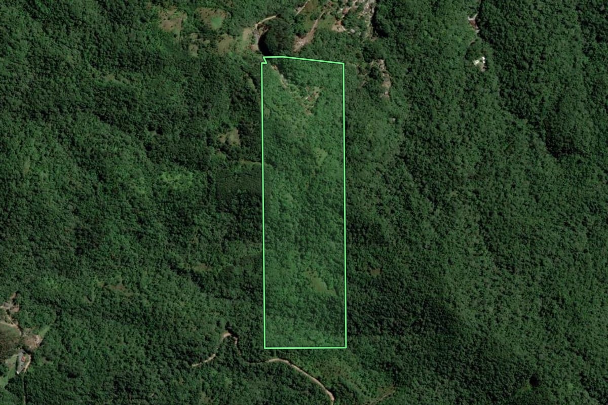 Imagem de satélite do imóvel rural em Blumenau (SC), com o contorno declarado no CAR desenhado por cima.