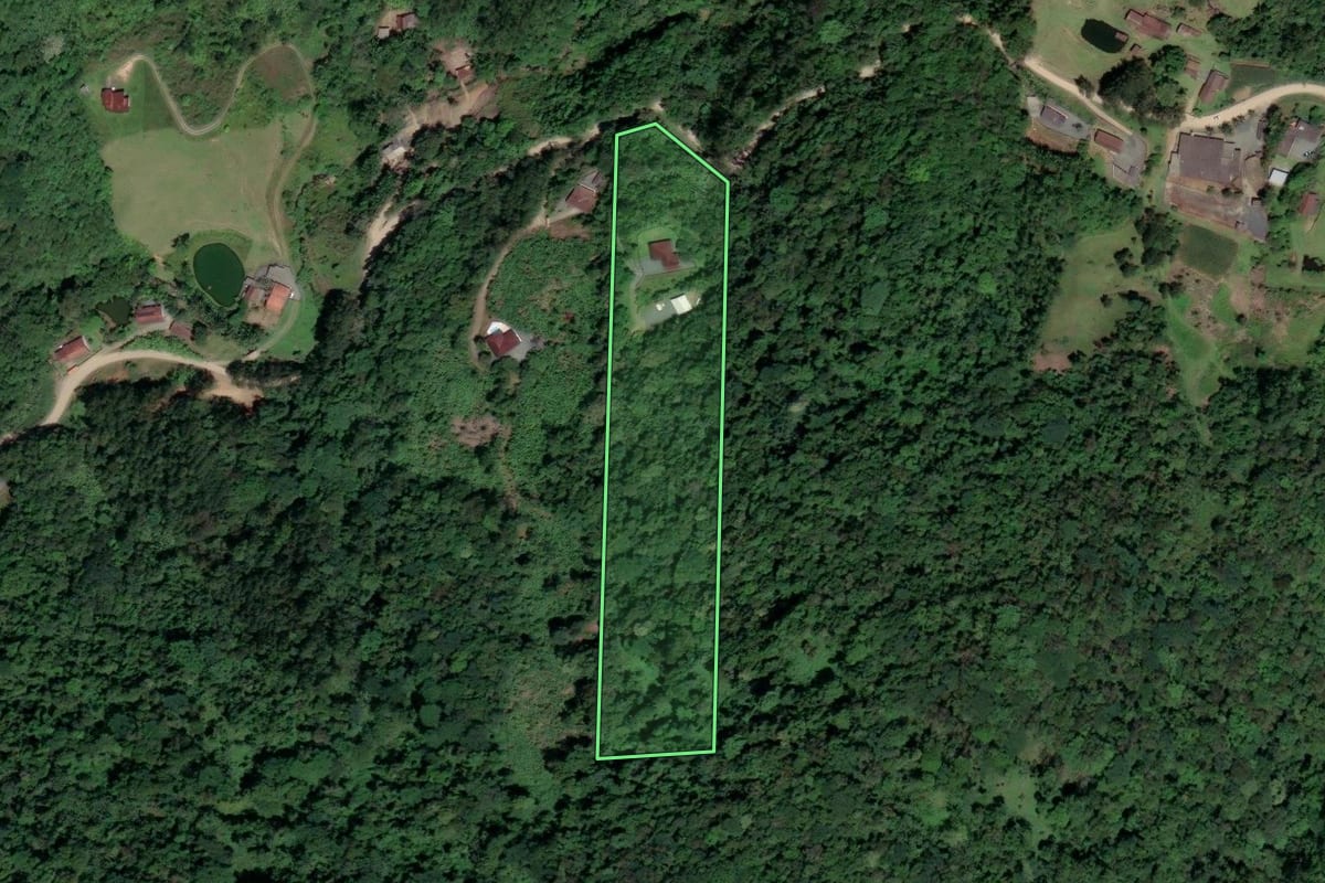 Imagem de satélite do imóvel rural em Blumenau (SC), com o contorno declarado no CAR desenhado por cima.