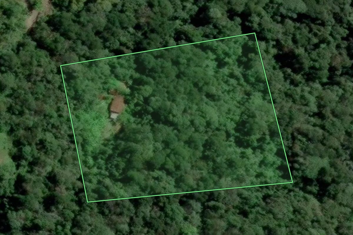 Imagem de satélite do imóvel rural em Blumenau (SC), com o contorno declarado no CAR desenhado por cima.