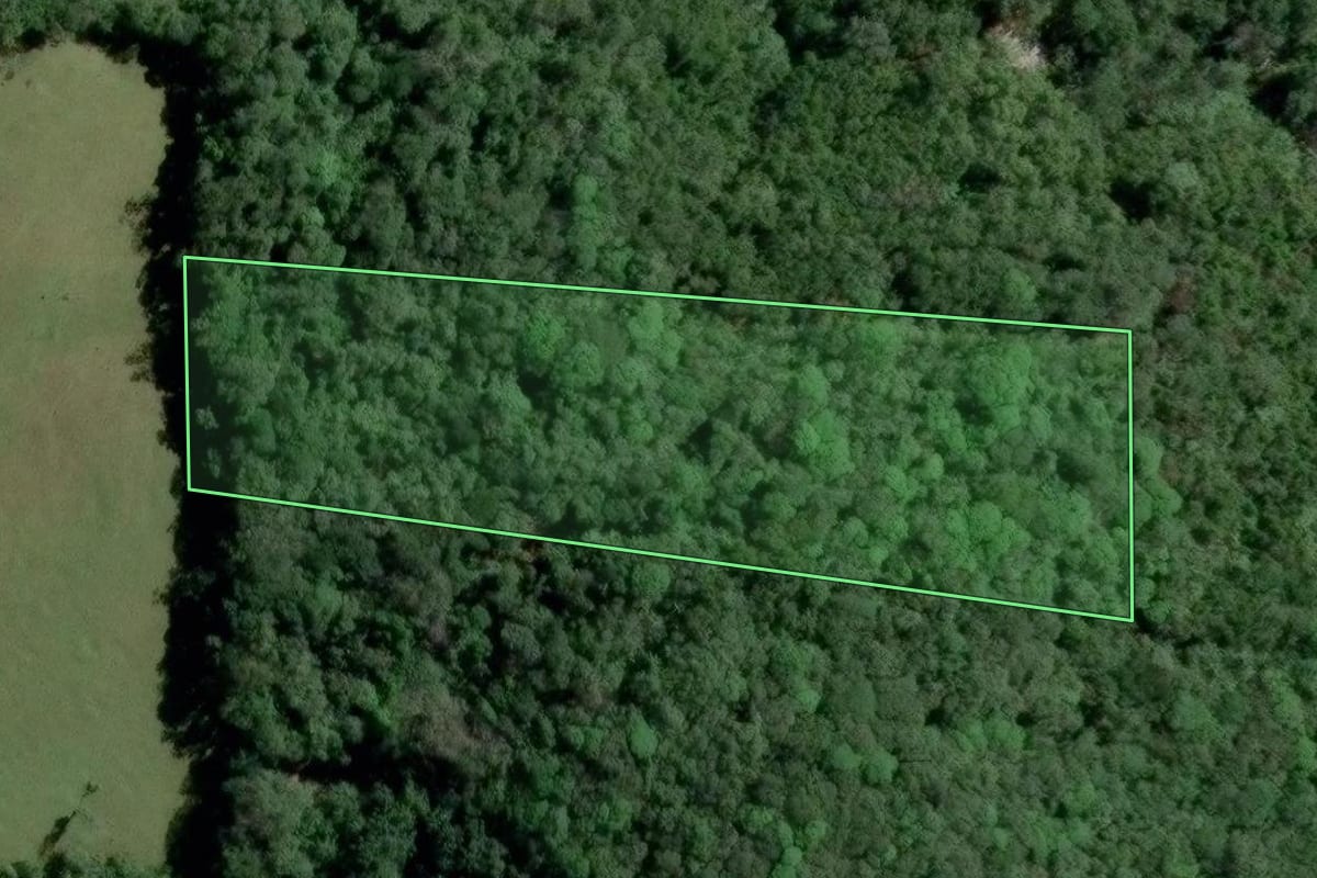 Imagem de satélite do imóvel rural em Blumenau (SC), com o contorno declarado no CAR desenhado por cima.