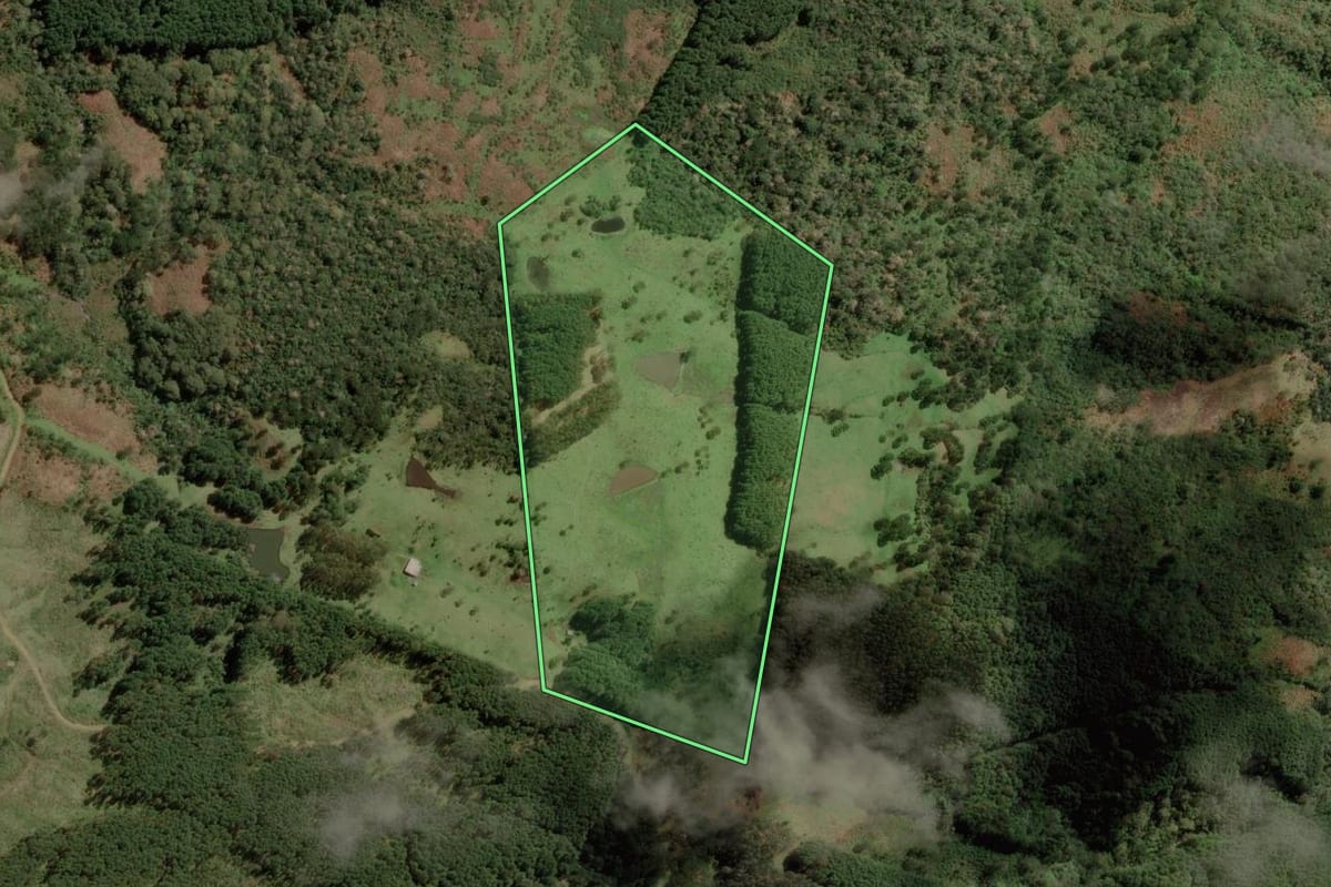 Imagem de satélite do imóvel rural em Bocaina do Sul (SC), com o contorno declarado no CAR desenhado por cima.