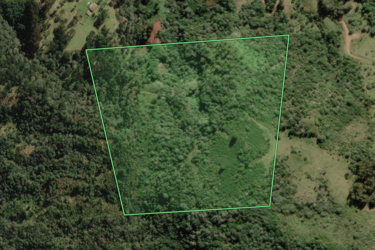 Imagem de satélite do imóvel rural em Bocaina do Sul (SC), com o contorno declarado no CAR desenhado por cima.