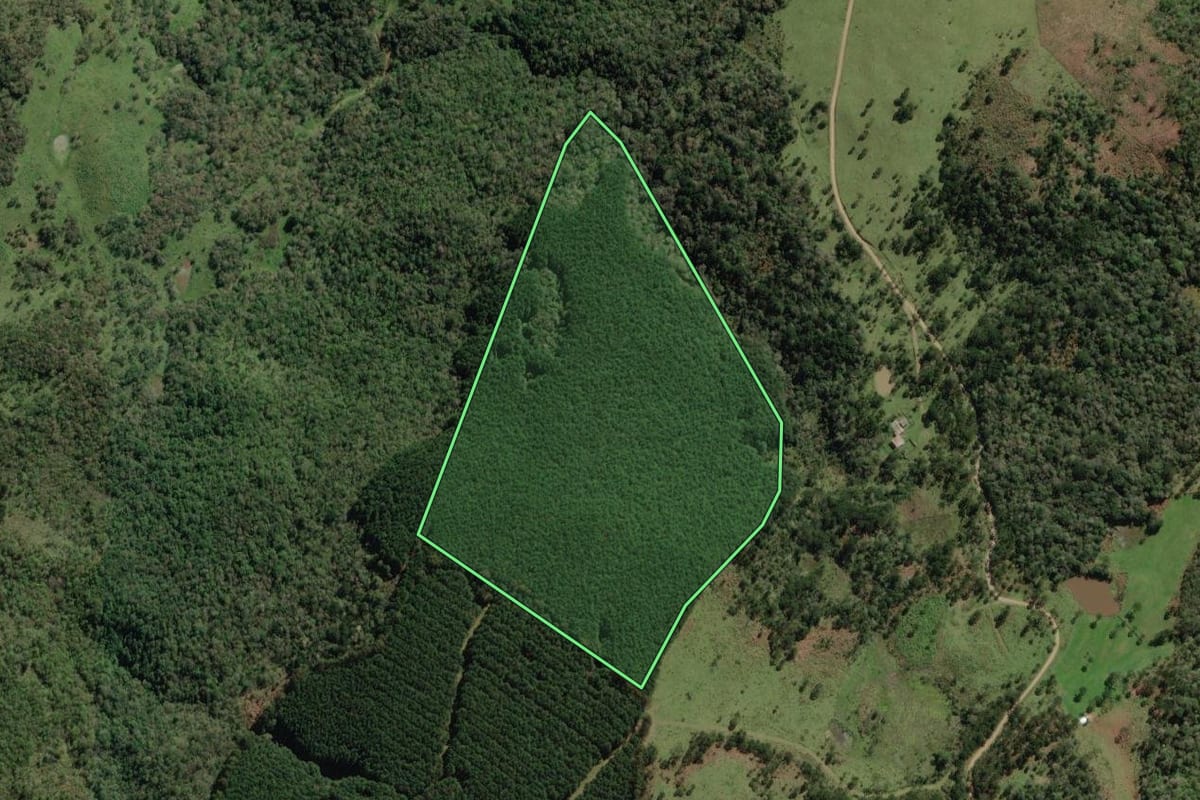 Imagem de satélite do imóvel rural em Bocaina do Sul (SC), com o contorno declarado no CAR desenhado por cima.