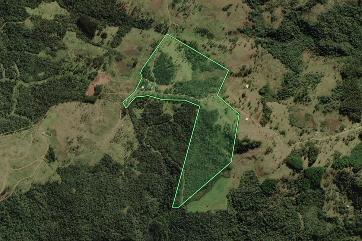 Imagem de satélite do imóvel rural em Bocaina do Sul (SC), com o contorno declarado no CAR desenhado por cima.