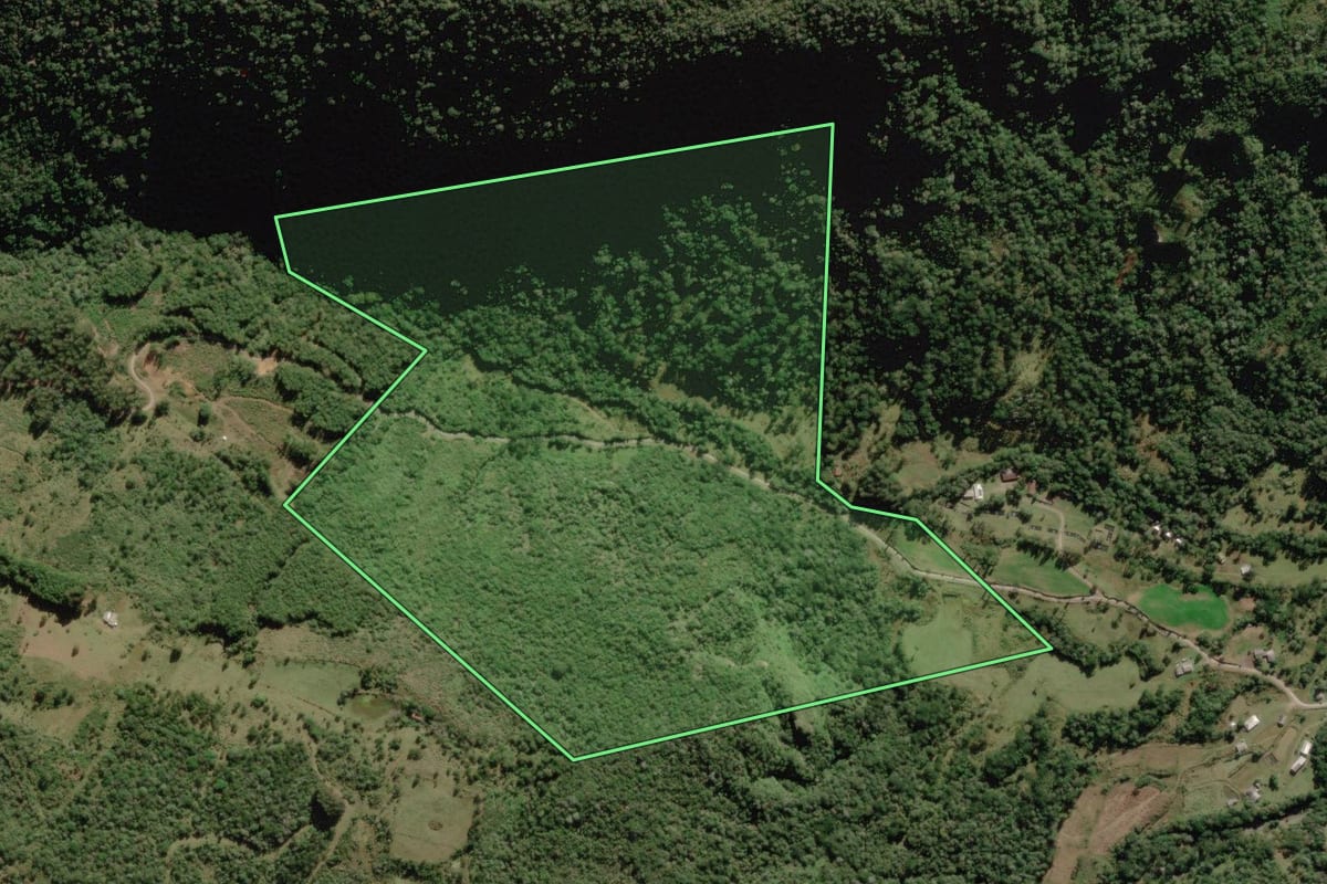 Imagem de satélite do imóvel rural em Bocaina do Sul (SC), com o contorno declarado no CAR desenhado por cima.