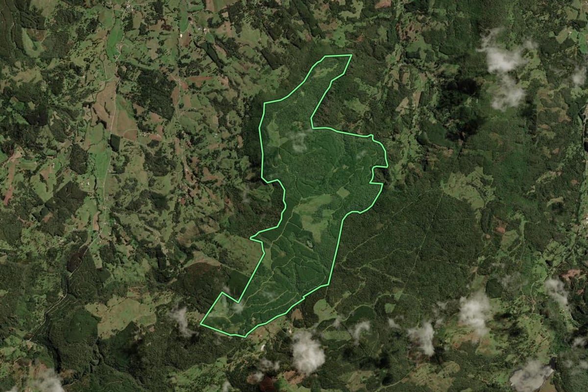 Imagem de satélite do imóvel rural em Bocaina do Sul (SC), com o contorno declarado no CAR desenhado por cima.
