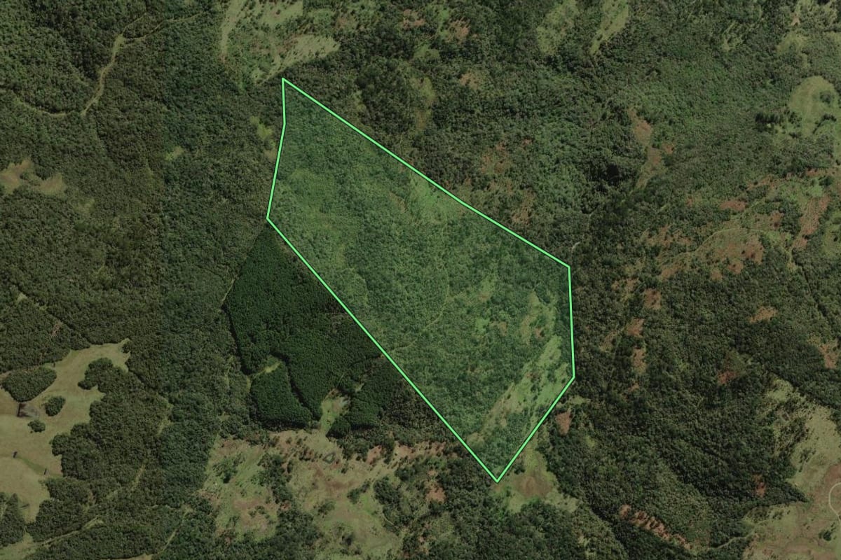 Imagem de satélite do imóvel rural em Bocaina do Sul (SC), com o contorno declarado no CAR desenhado por cima.