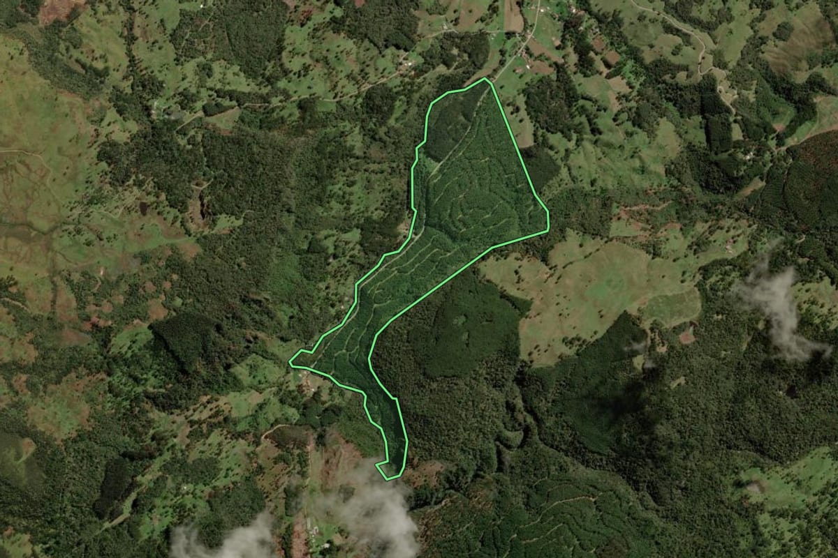 Imagem de satélite do imóvel rural em Bocaina do Sul (SC), com o contorno declarado no CAR desenhado por cima.