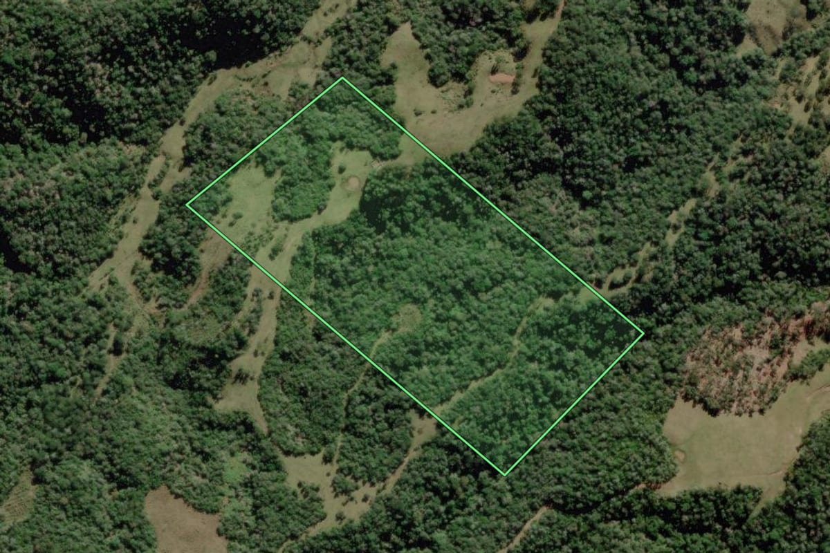 Imagem de satélite do imóvel rural em Bocaina do Sul (SC), com o contorno declarado no CAR desenhado por cima.