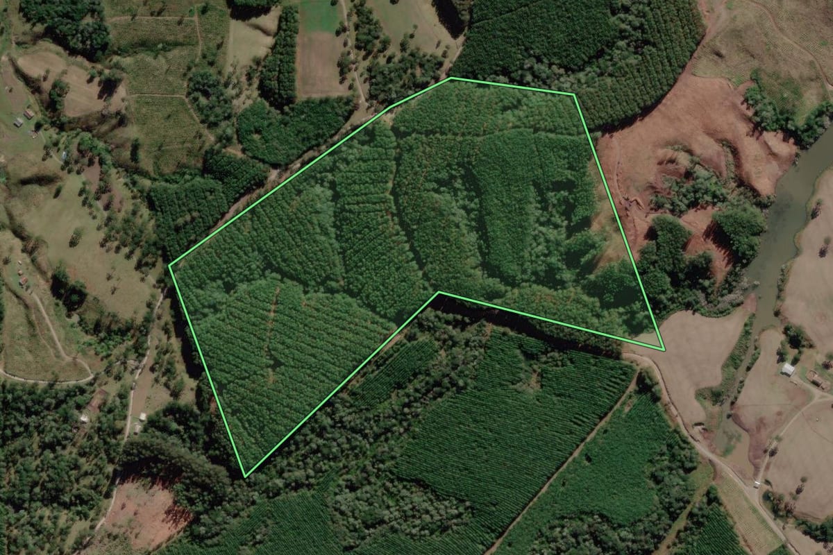Imagem de satélite do imóvel rural em Bocaina do Sul (SC), com o contorno declarado no CAR desenhado por cima.