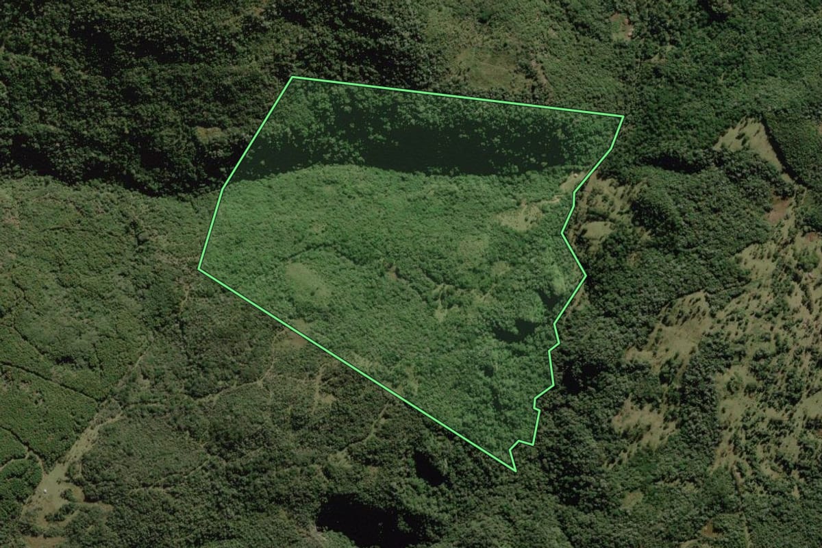 Imagem de satélite do imóvel rural em Bocaina do Sul (SC), com o contorno declarado no CAR desenhado por cima.