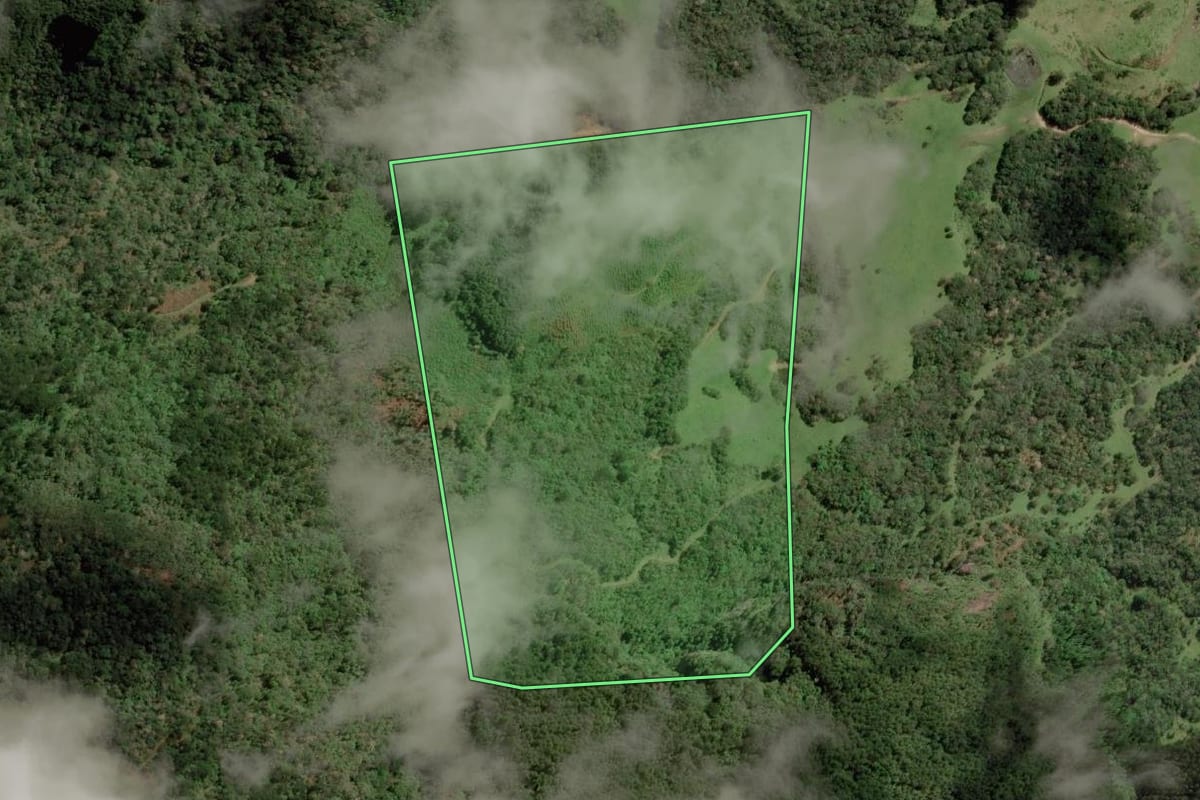 Imagem de satélite do imóvel rural em Bocaina do Sul (SC), com o contorno declarado no CAR desenhado por cima.