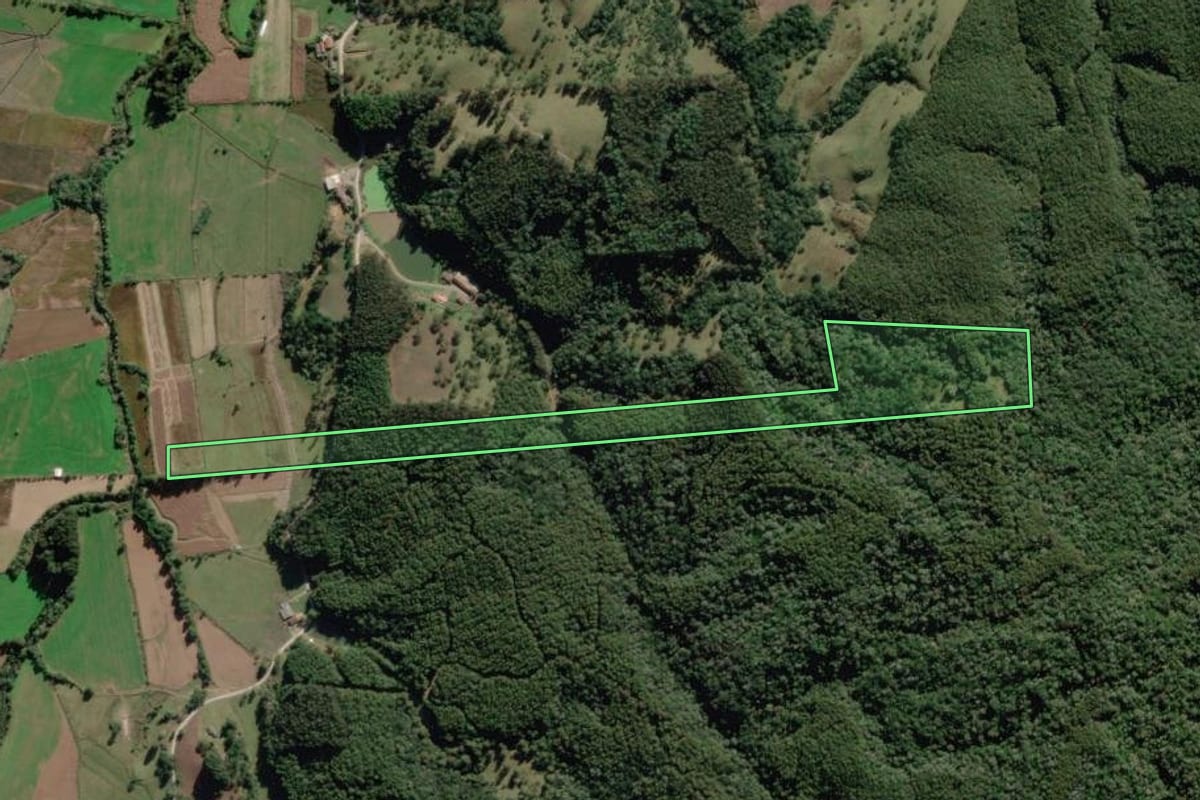 Imagem de satélite do imóvel rural em Bocaina do Sul (SC), com o contorno declarado no CAR desenhado por cima.
