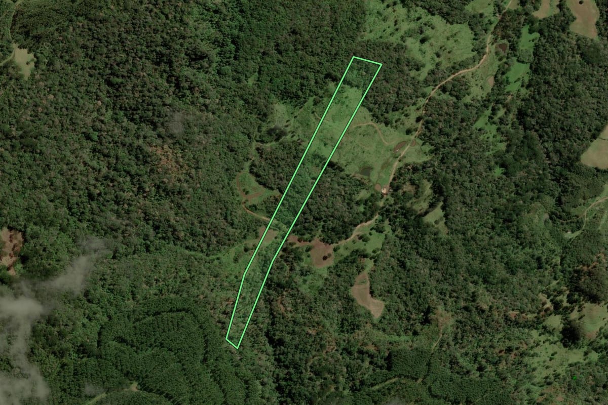 Imagem de satélite do imóvel rural em Bocaina do Sul (SC), com o contorno declarado no CAR desenhado por cima.