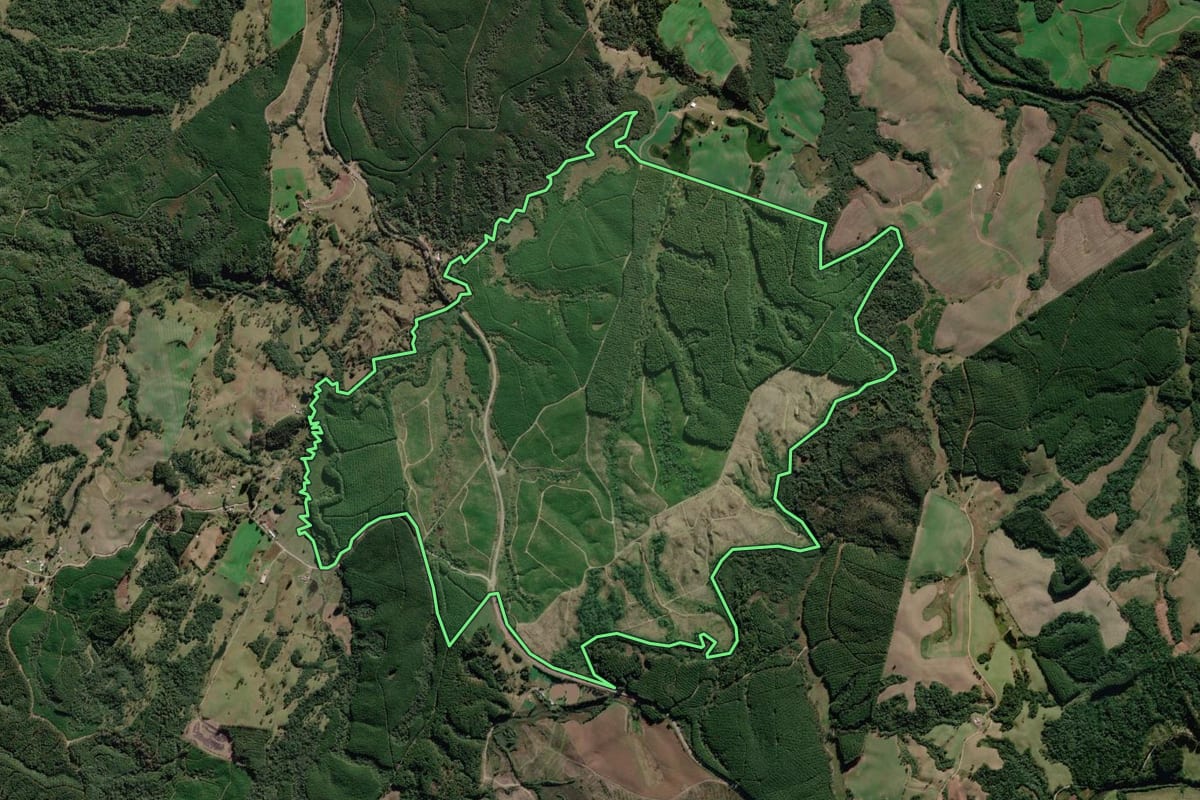 Imagem de satélite do imóvel rural em Bocaina do Sul (SC), com o contorno declarado no CAR desenhado por cima.