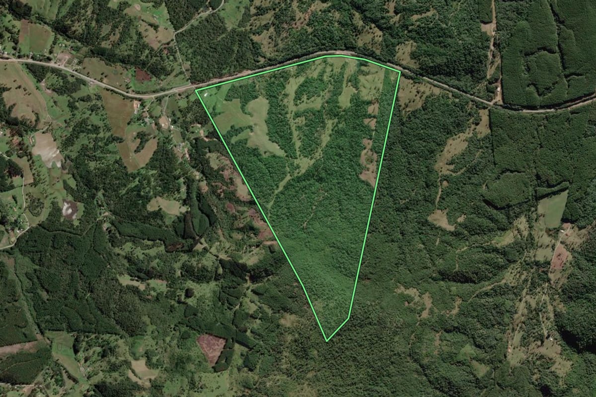 Imagem de satélite do imóvel rural em Bocaina do Sul (SC), com o contorno declarado no CAR desenhado por cima.
